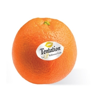 Orange with sticker